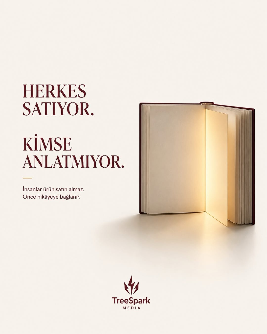 Hikâye anlatımının gücünü vurgulayan ışıklı açık kitap görseli — TreeSpark Media